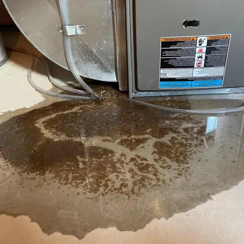 Pipe Burst and Leak Restoration in Ansonia, CT