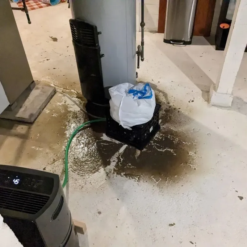 Sewage Backup Cleanup Service in Ansonia, CT